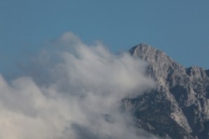 IMG_1318